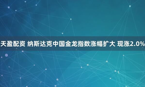 天盈配资 纳斯达克中国金龙指数涨幅扩大 现涨2.0%