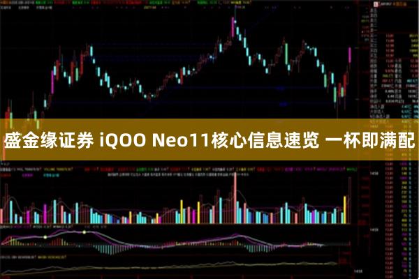 盛金缘证券 iQOO Neo11核心信息速览 一杯即满配
