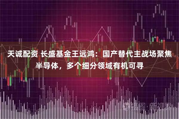 天诚配资 长盛基金王远鸿：国产替代主战场聚焦半导体，多个细分领域有机可寻